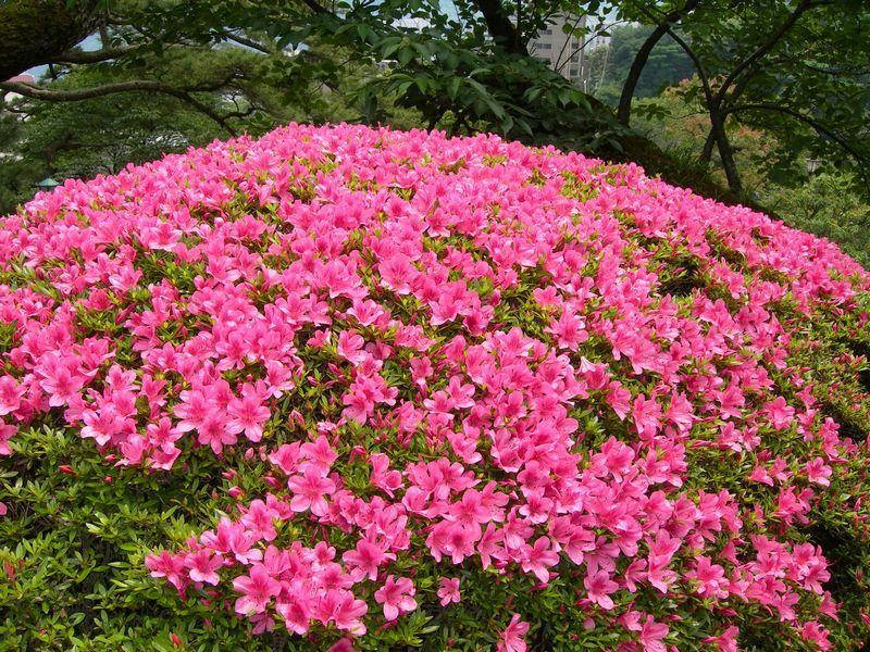 Atami Taikansou Екстер'єр фото